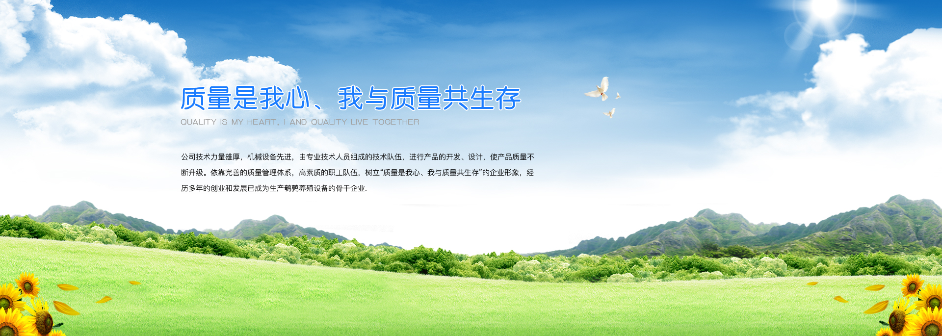 鹌鹑自动化养殖设备